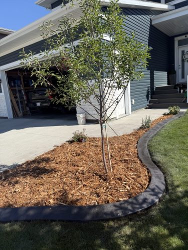 Hand carved concrete curbing for a happy homeowner.