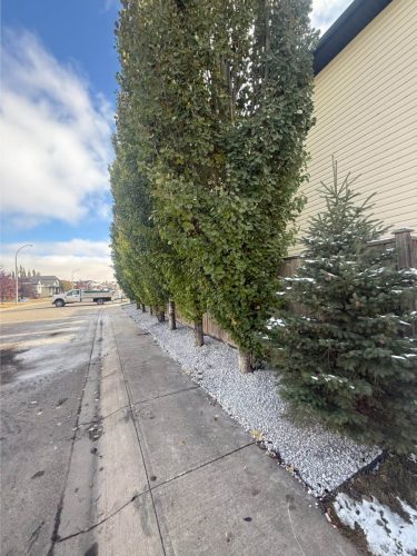 JBs Custom Curbing recent landscaping project.